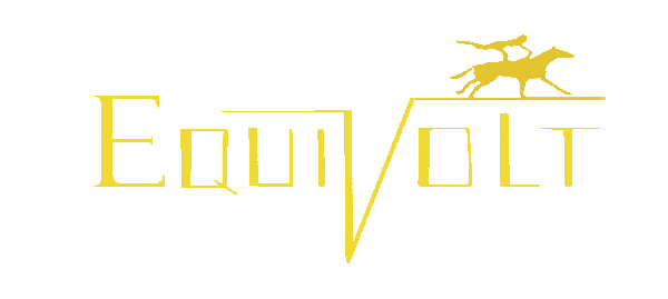 EQUIVOLT